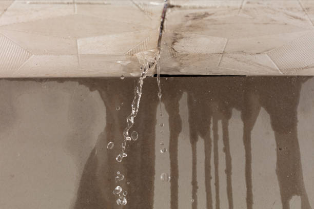 Professional Water Damage Inspection technician working in Norwell, MA
